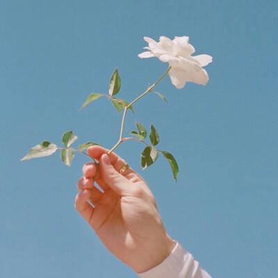 奇迹之神bt版下载