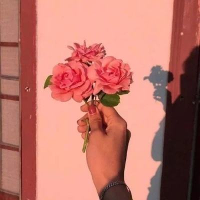 暗黑破坏神不朽亚洲服下载