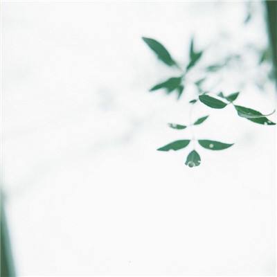 黑暗森林vr游戏下载