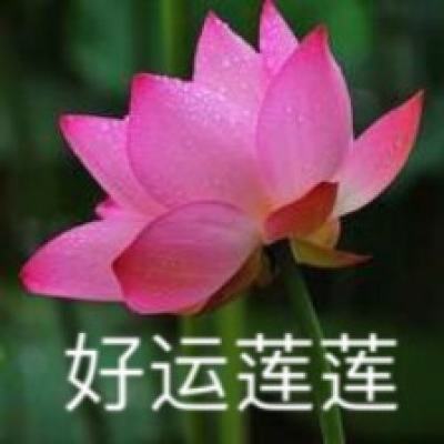 萌娘幻想手游百度版下载